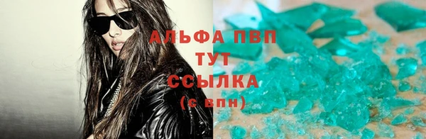 ПСИЛОЦИБИНОВЫЕ ГРИБЫ Белокуриха