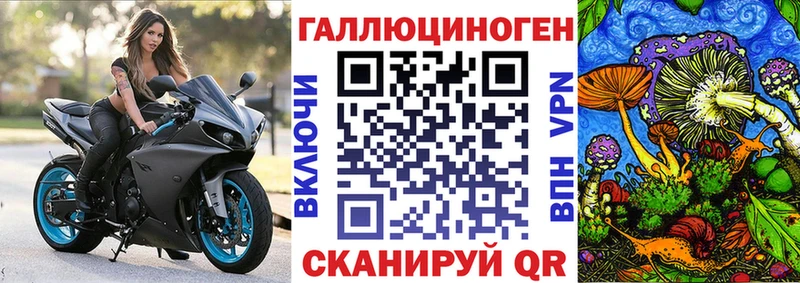 Галлюциногенные грибы прущие грибы  Томилино 